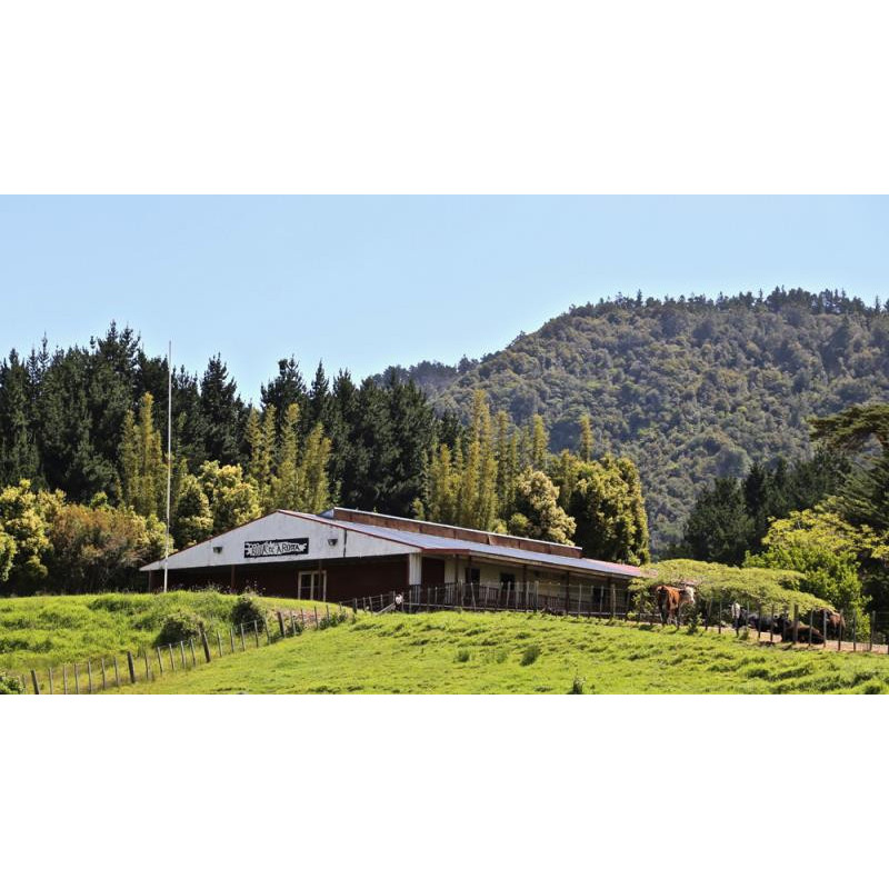 Rangikohu Marae